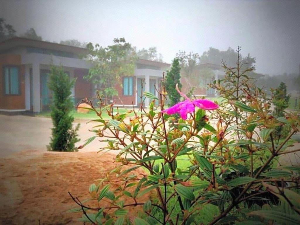 Nutchana Hill Boutique Hotel ハートヤイ エクステリア 写真